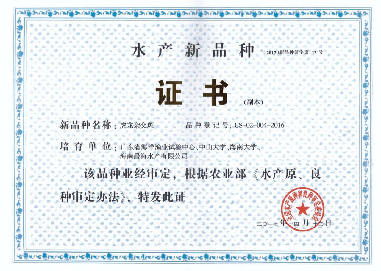 厲害了，我的“虎龍雜交斑”