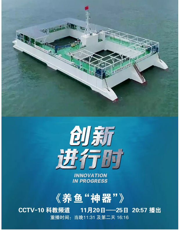 風(fēng)再猛、浪再大，都攔不住我養(yǎng)魚的雄心！